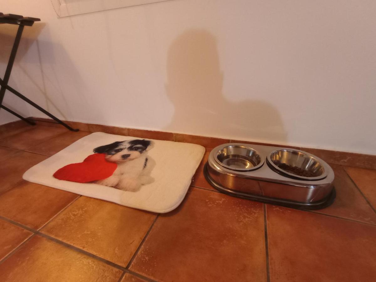 Casa De Campo Los Manueles Ideal Perros Pet Friendly Gojar Exterior foto