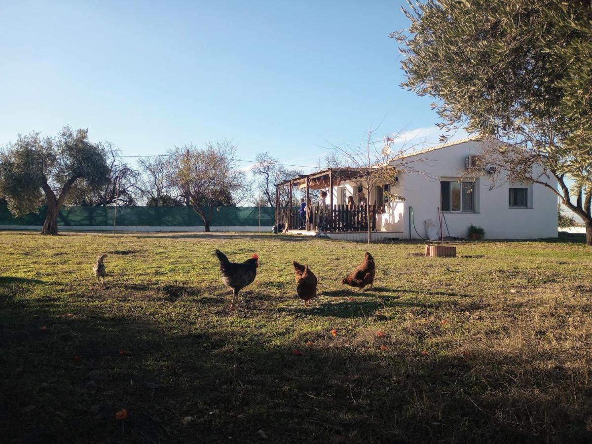Casa De Campo Los Manueles Ideal Perros Pet Friendly Gojar Exterior foto